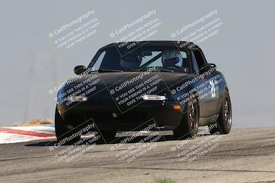 media/Jul-26-2025-Speed Ventures (Sat) [[fe569e6cf0]]/Purple Group/Grapevine/